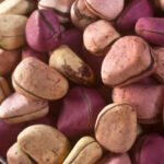 kola nuts